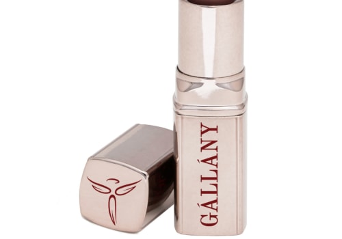 In-Depth Review of Gallany Semi Matte Lipstick: Is It Worth the Hype?